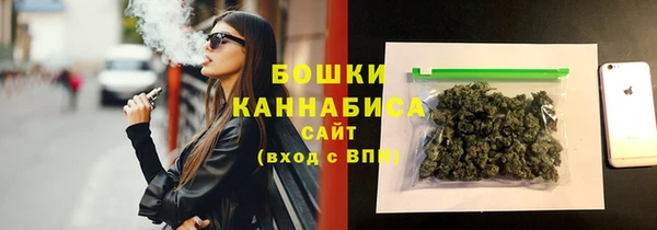 гидра Гусиноозёрск