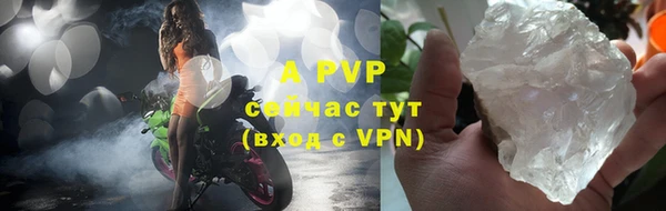 гидра Гусиноозёрск