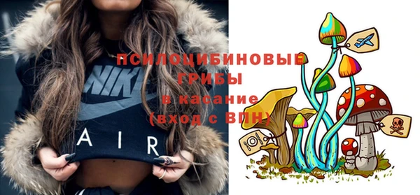 Альфа ПВП Гусь-Хрустальный