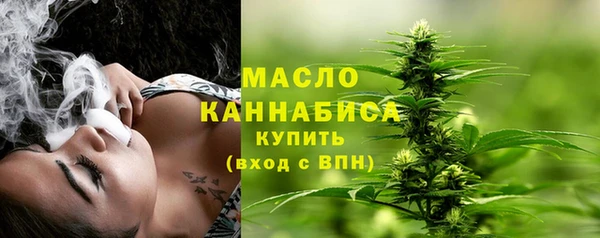 гидра Гусиноозёрск