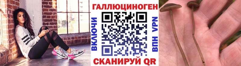 Галлюциногенные грибы MAGIC MUSHROOMS  Магнитогорск 
